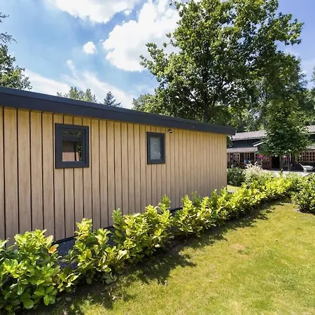 Modern Op De Veluwe *