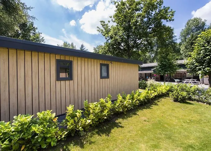 Modern Op De Veluwe *