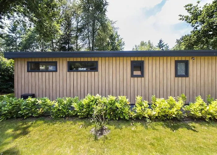 Modern Op De Veluwe *